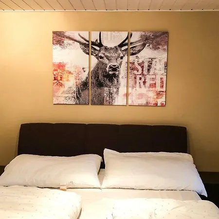 Windegg - Charmingstay